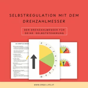 Titelbild „Selbstregulation mit dem Drehzahlmesser – der Drehzahlmesser für deine Selbststeuerung“